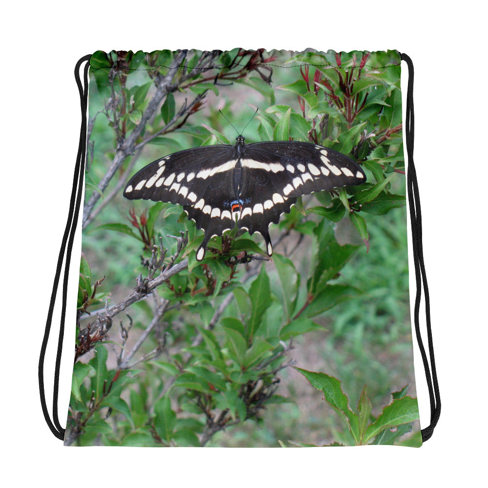 Swallowtail Butterfly Drawstring Bag