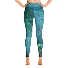 Load image into Gallery viewer, Coco Fan Yoga Pants