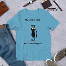 Load image into Gallery viewer, Cat&#39;s In Heat - Unisex Eco T-Shirt